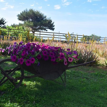 Affittacamere Il Giardino delle Aloe Favignana Esterno foto
