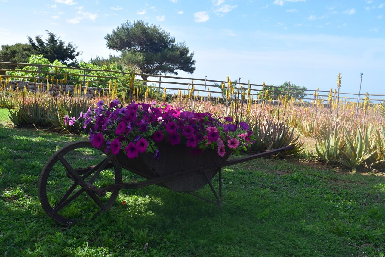 Affittacamere Il Giardino delle Aloe Favignana Esterno foto