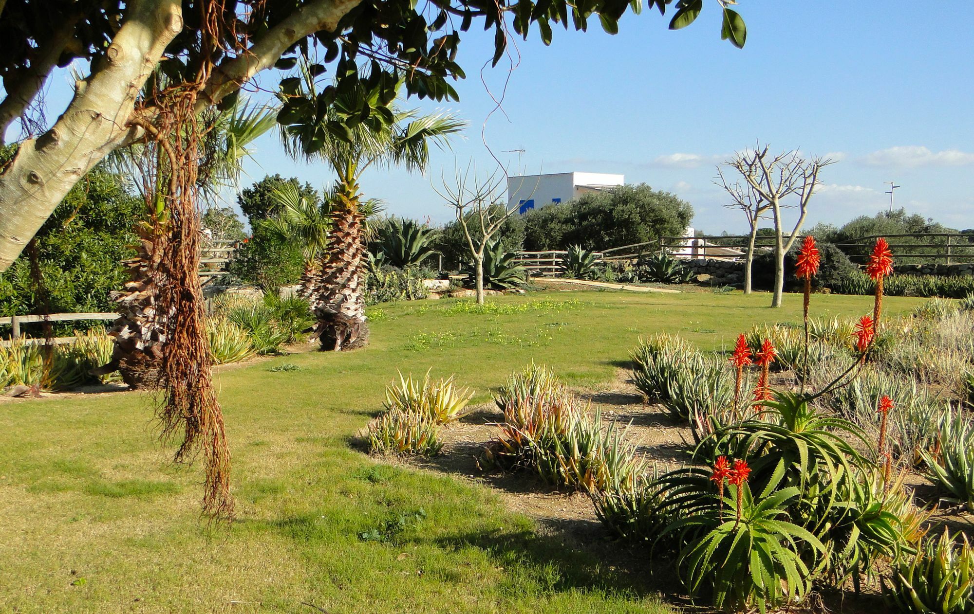 Affittacamere Il Giardino delle Aloe Favignana Esterno foto