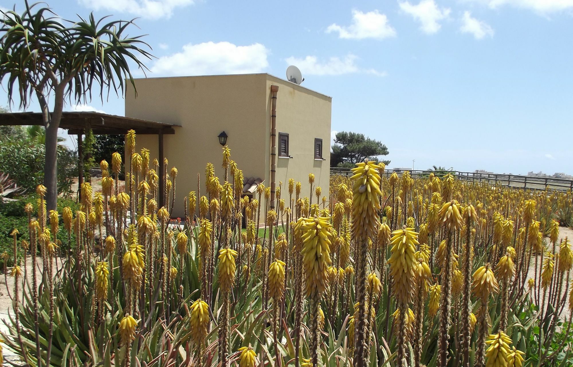 Affittacamere Il Giardino delle Aloe Favignana Esterno foto